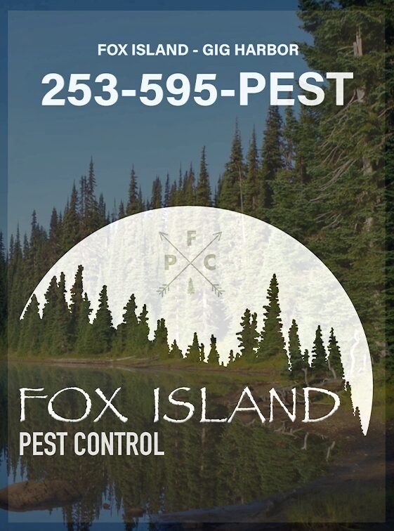 Call Now! 253-595-PEST