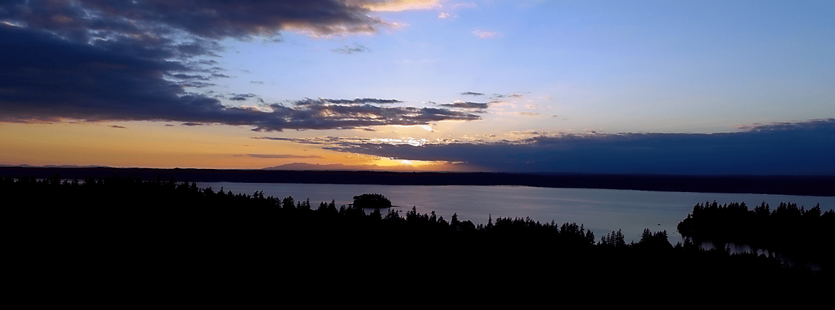 Fox Island Pest Control Gig Harbor Header Image